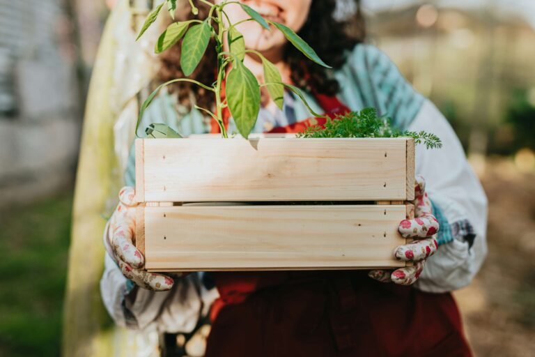 planter of flowers