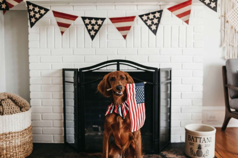 4th of July Fireplace Decor Ideas with New England Charm