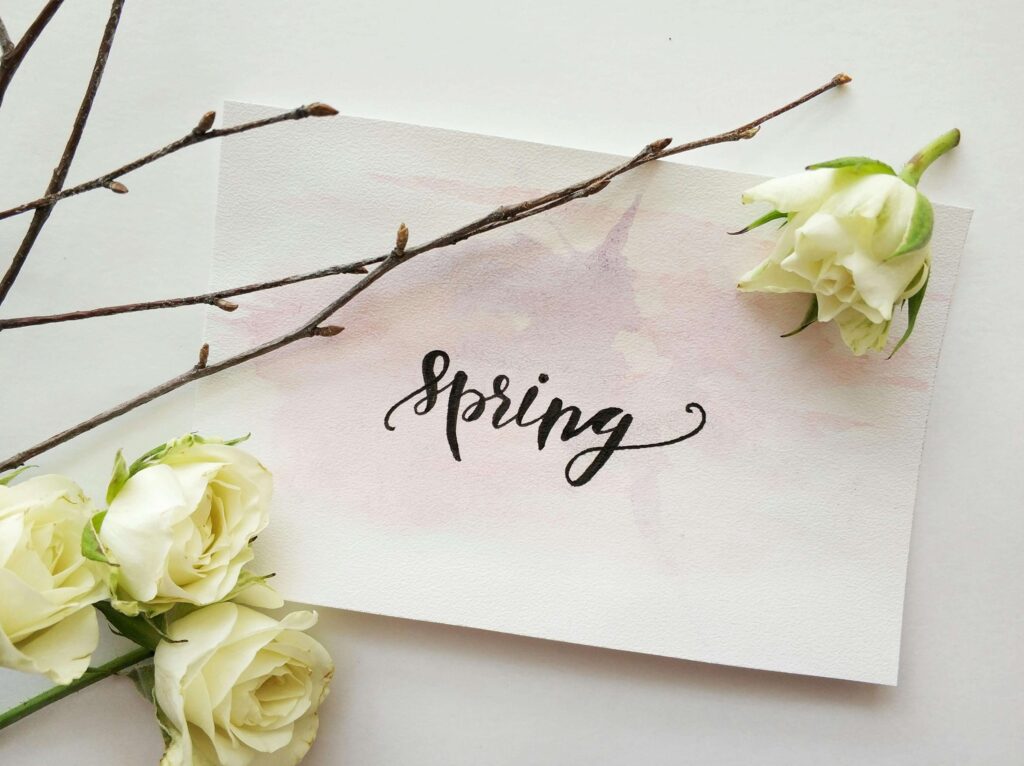 spring card