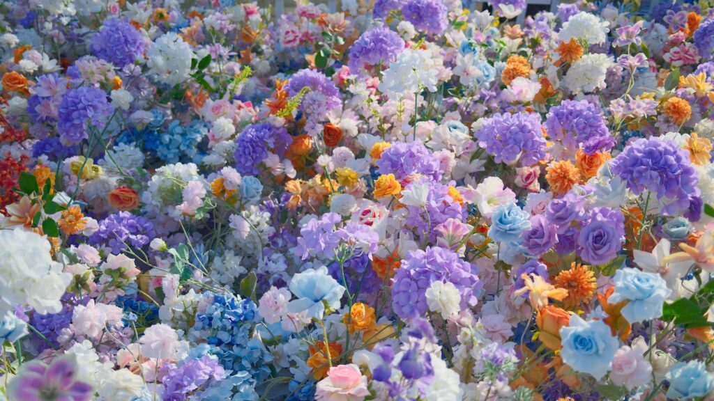 A blooming spring garden with soft morning light, symbolizing the quiet joy of May Day giving