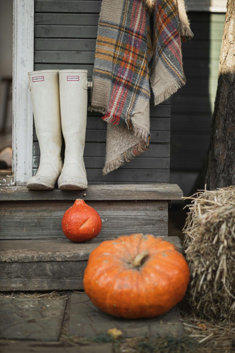 Fall Porch DIY Tools: Cozy Must-Haves for Autumn Projects